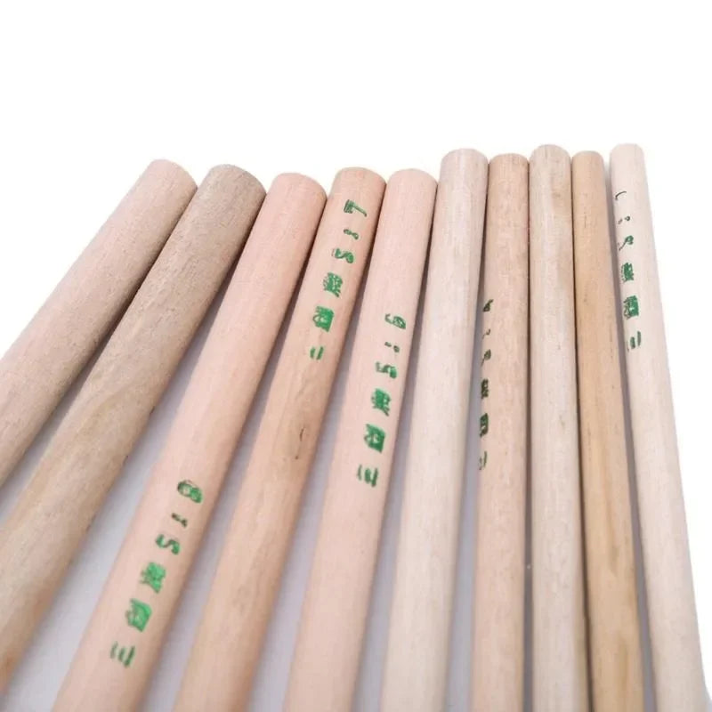 10-Pcs Artist Paint Brush Set – Wool Hair